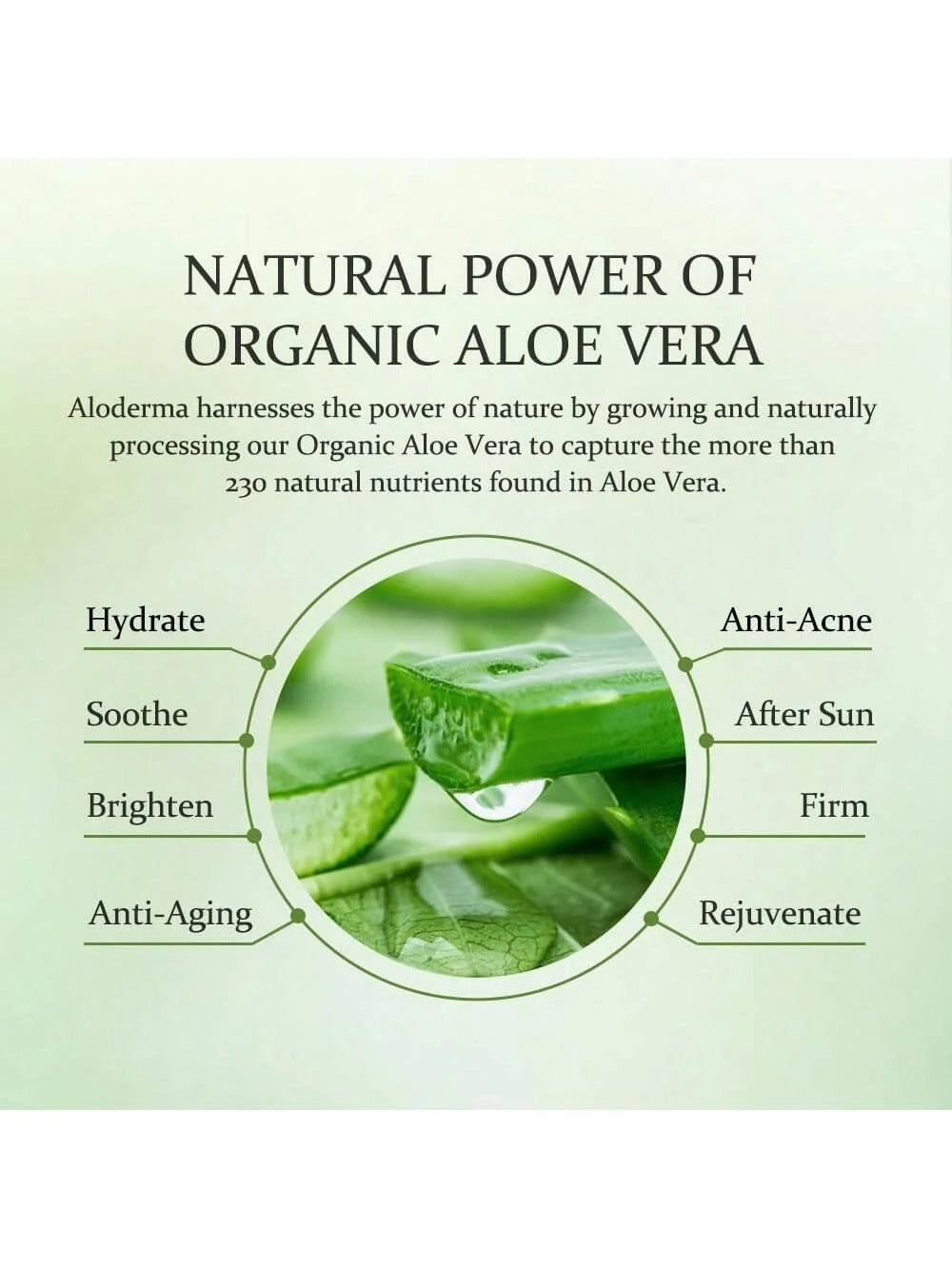GZE Aloe Vera Gel for Skin & Hair – Deep Hydration & Frizz Control